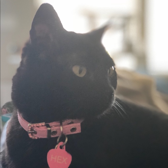 | | S A I N T + H E X | | MAKE AN OFFER & SAVE $$$ - Picture 2 of 8